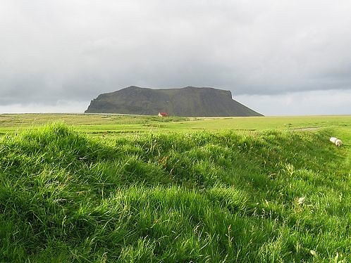 Iceland - South coast-18