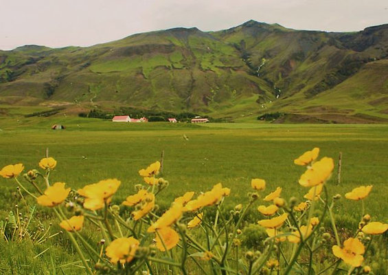 Iceland - South coast-28