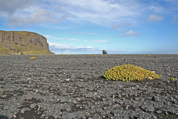 Myrdalssandur wide copy