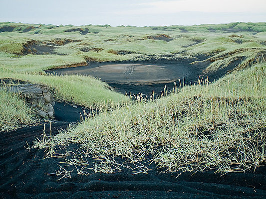 Sandvik green dunes