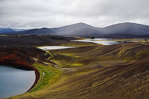 Veidivotn