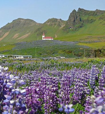 Iceland - South coast-15