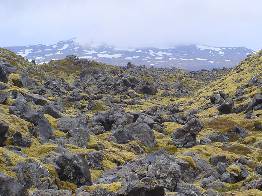 Raudfeldargja
