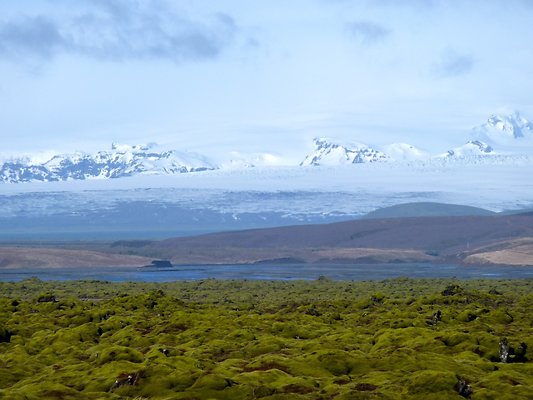 Moss covered Lava Glacier background