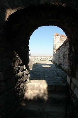 DSC 8678