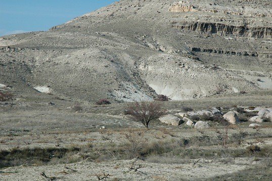Hill Village Landscape07