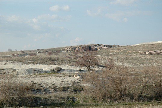 Hill Village Landscape05