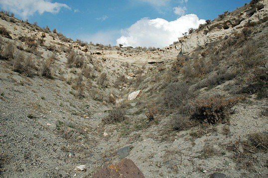 Lake Meke immediate area5